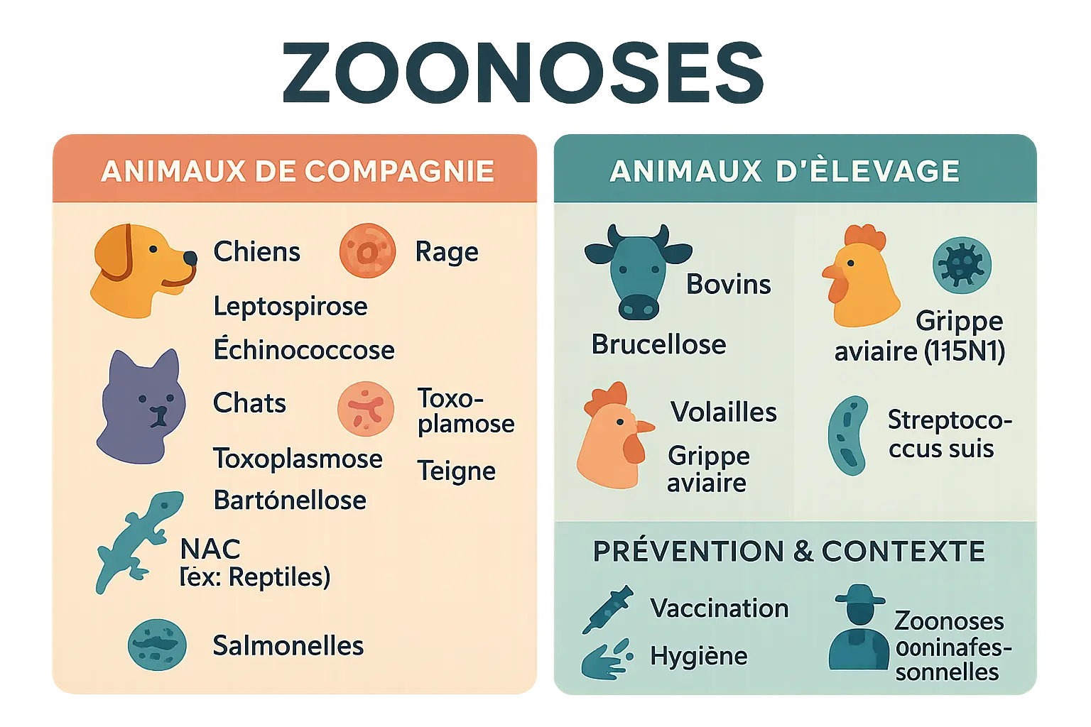 Comparaison visuelle des zoonoses chez les animaux de compagnie et d'élevage