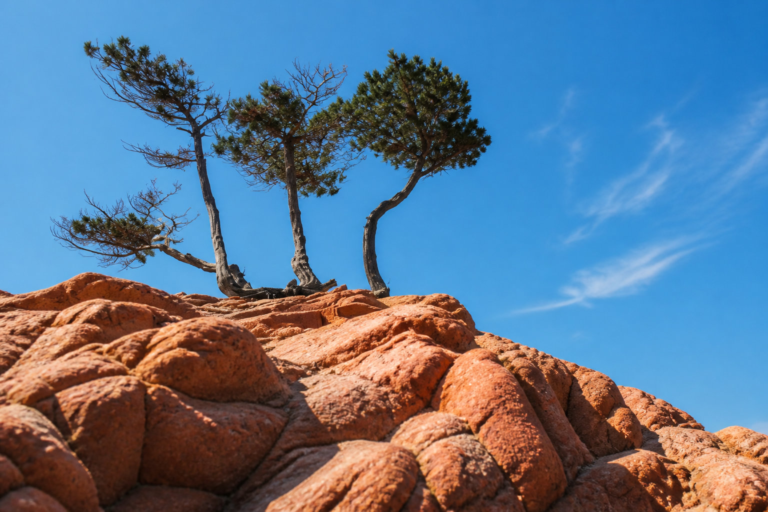 Palombaggia: Rote Felsen und türkisfarbenes Meer
