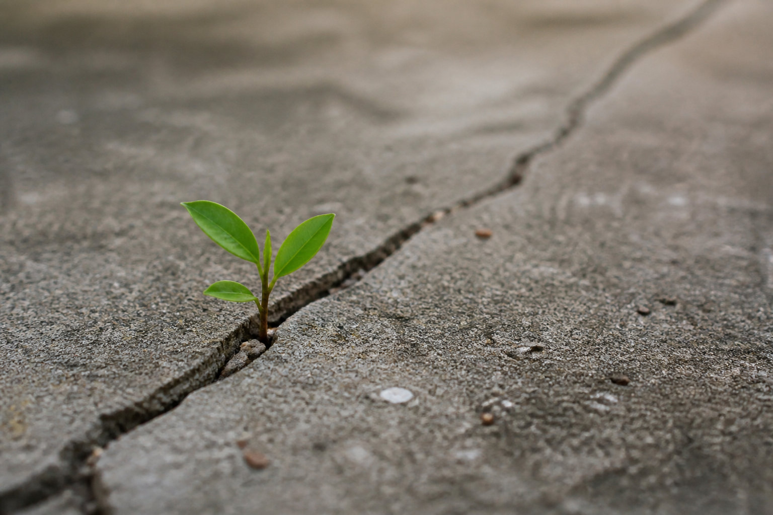 Comment aligner enfin stratégie technologique et vision business ?