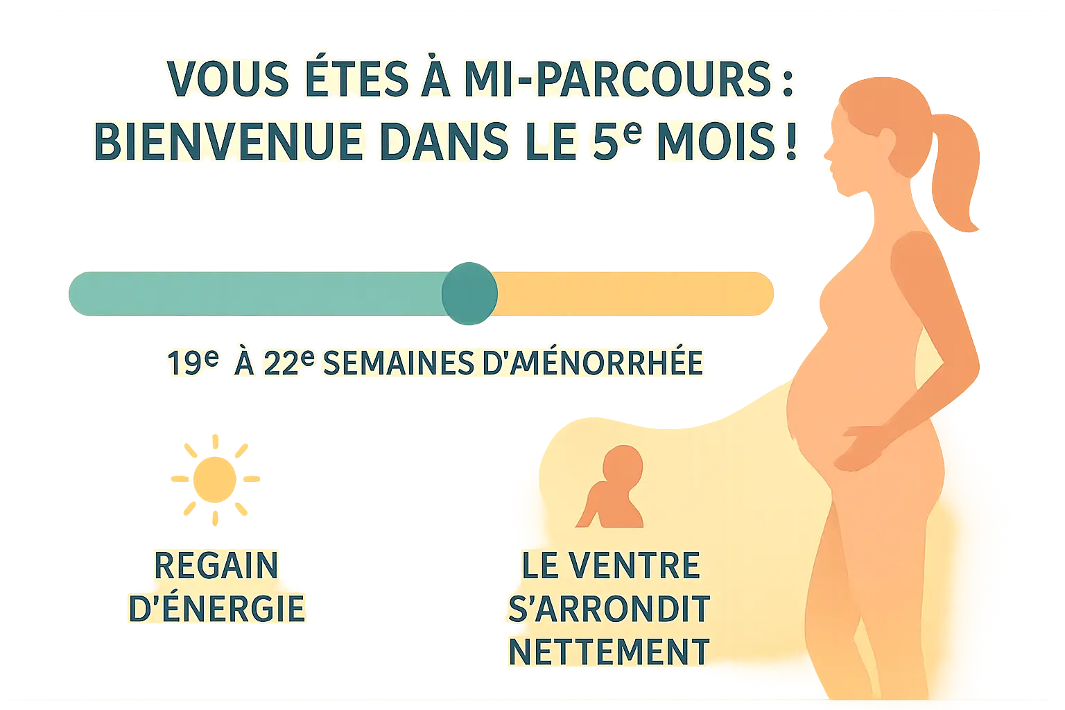 Illustration du bébé au 5ème mois de grossesse