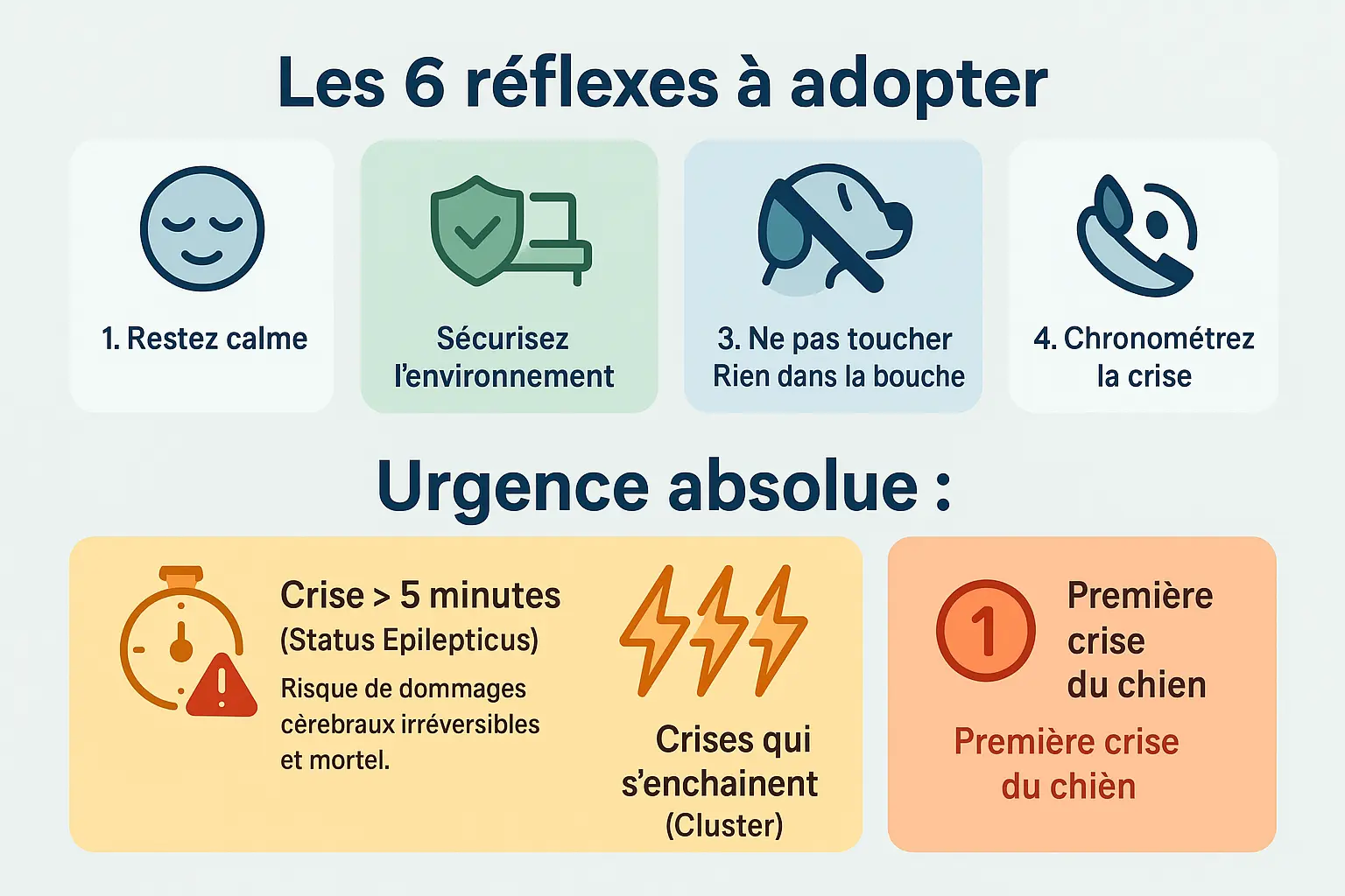 Gestes à adopter pendant une crise d'épilepsie chez le chien