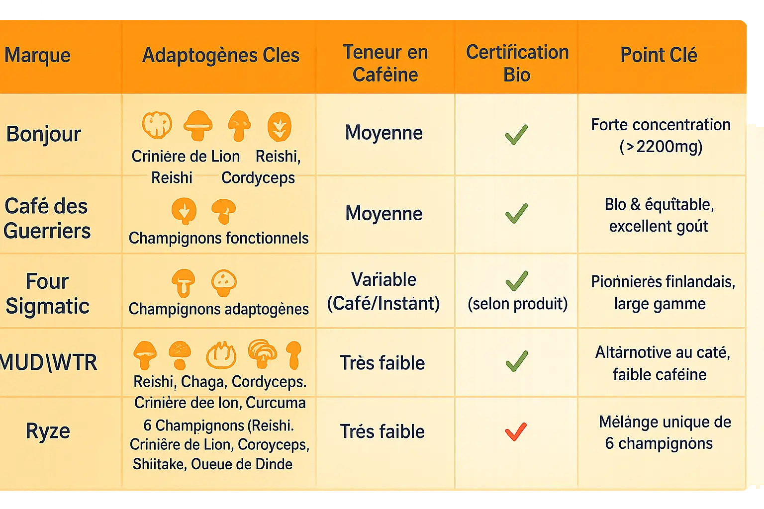 Illustration café adaptogène