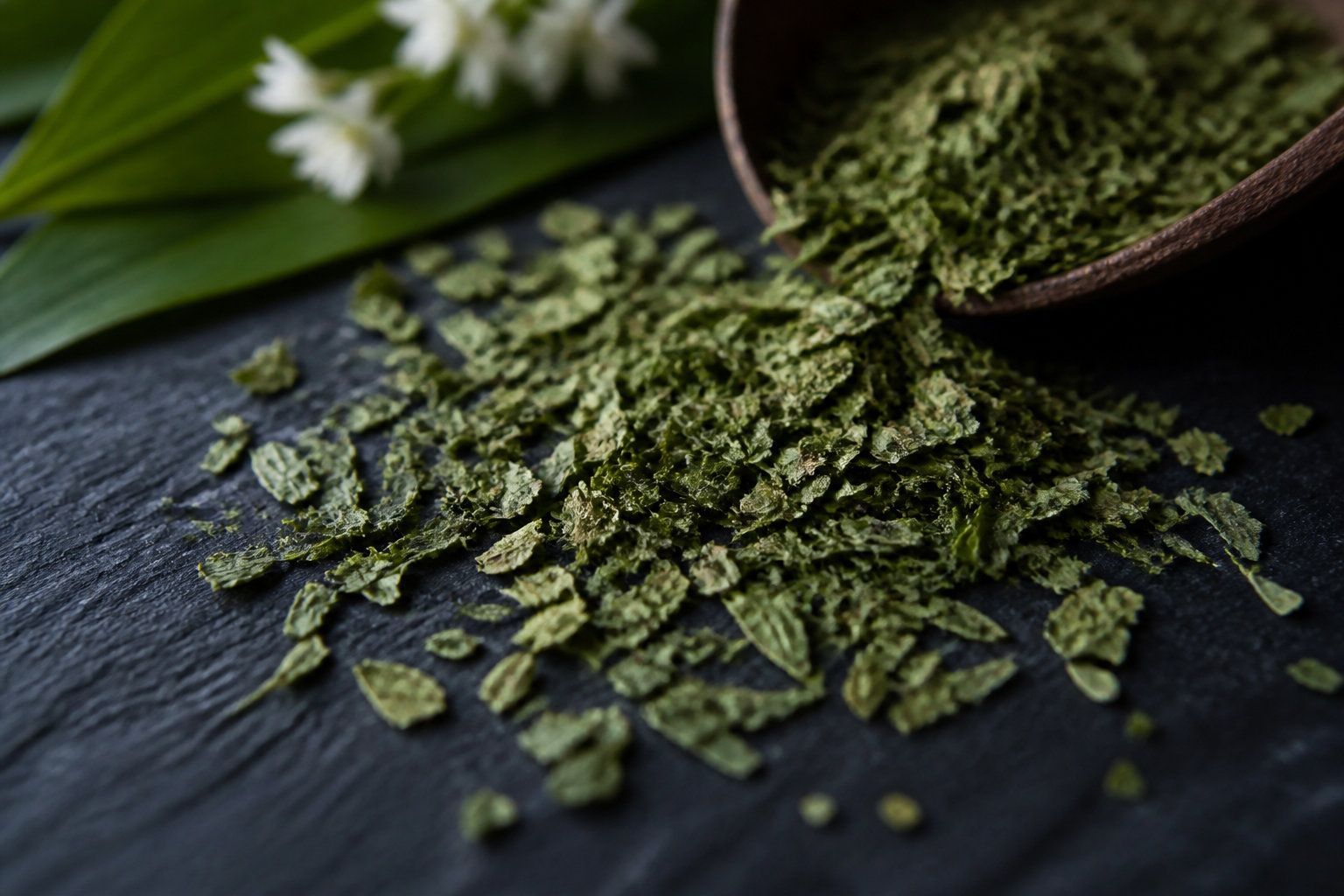 Ail des ours feuille flocon bio : l'originalité d'une plante sauvage