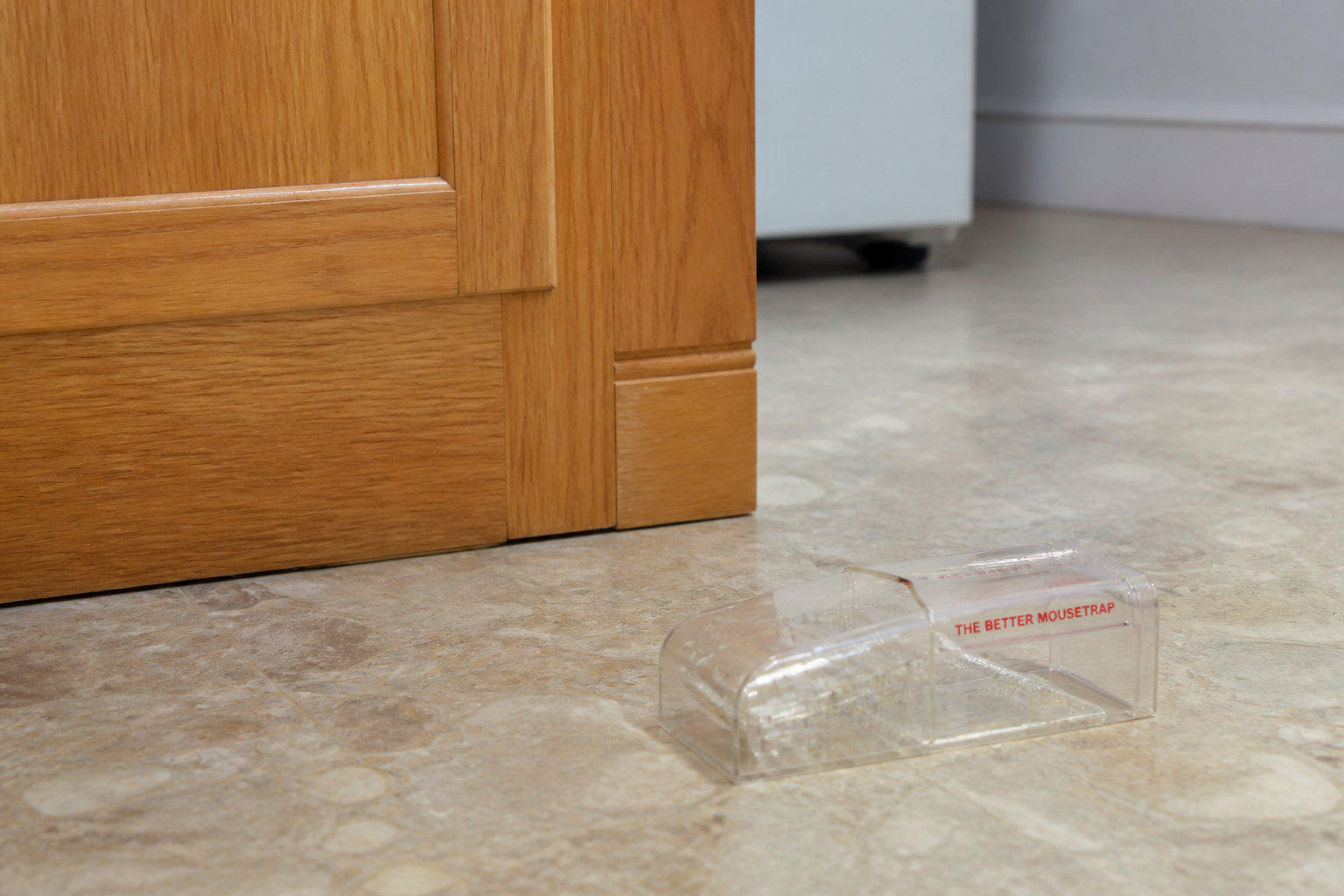 Piège à souris - AltoZouri™ transparent : la discrétion pour votre intérieur