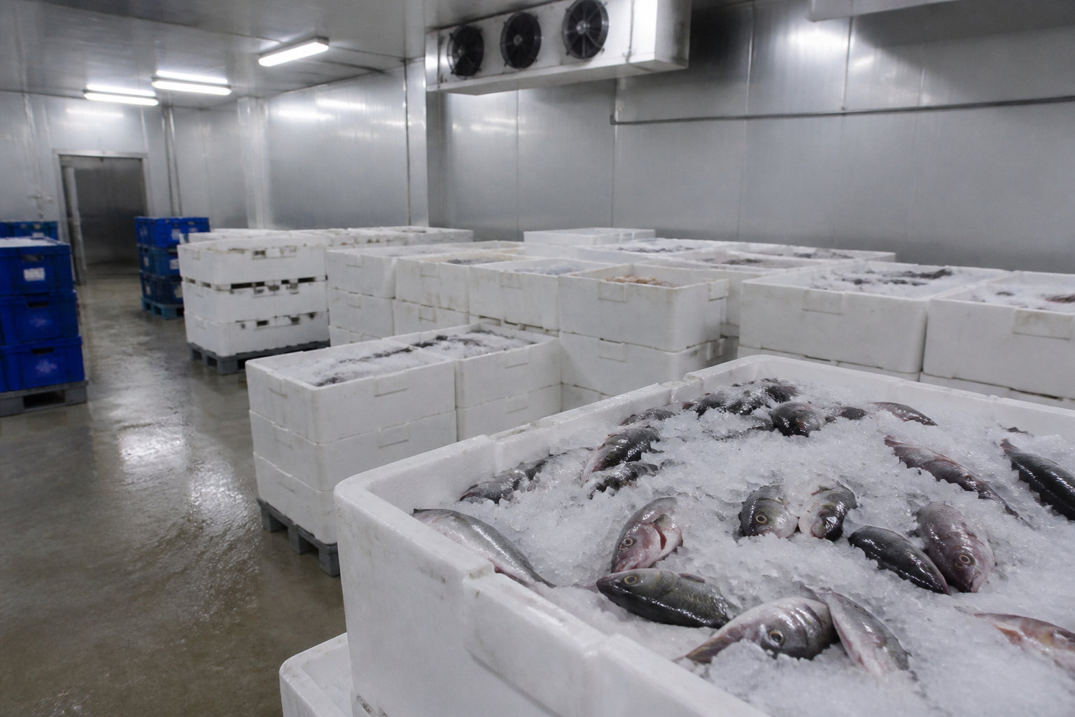 Services logistiques et valorisation des produits de la mer