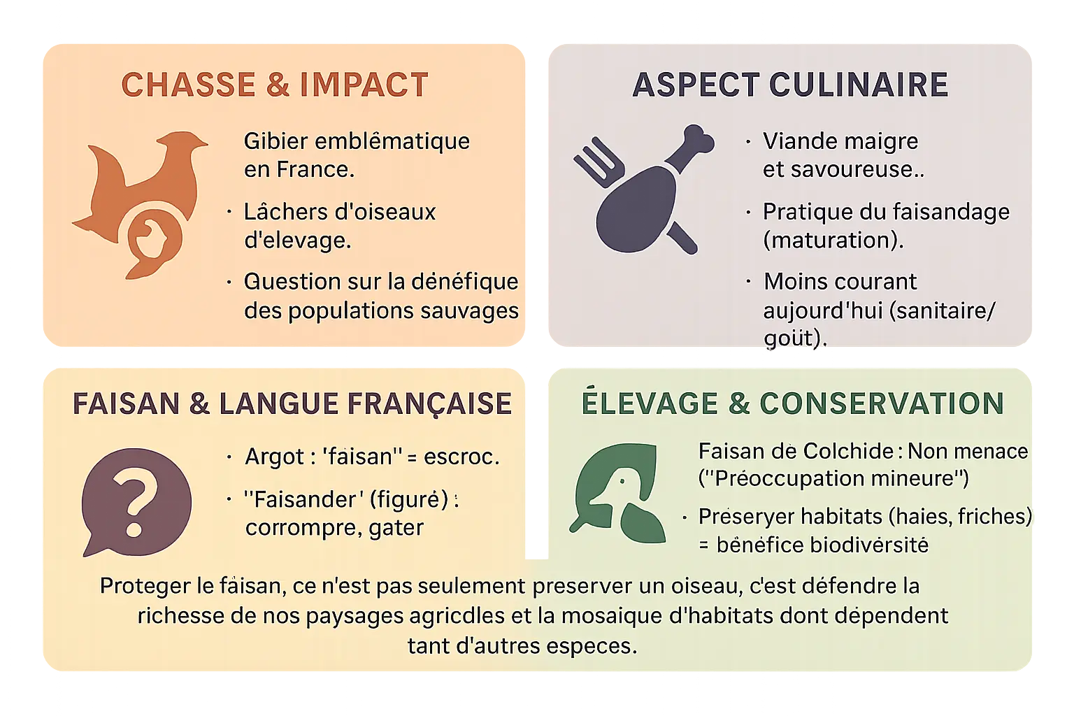 Faisan dans son environnement naturel
