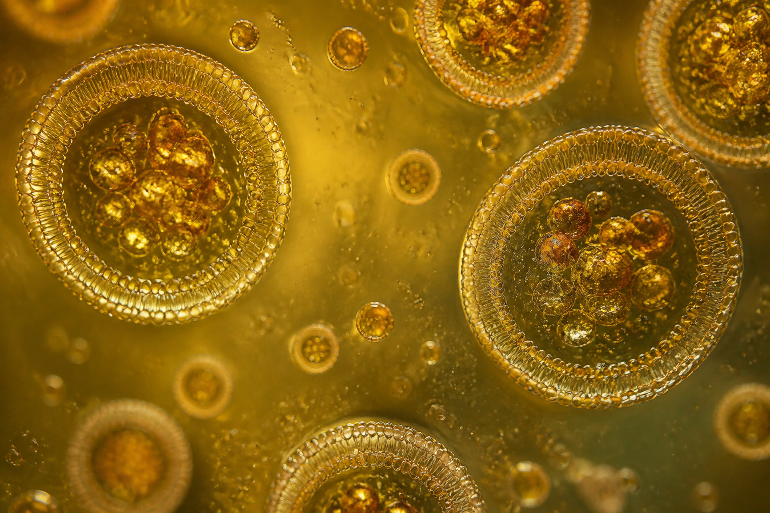 3 Reasons Why Liposomal Delivery Beats Standard Oral Forms