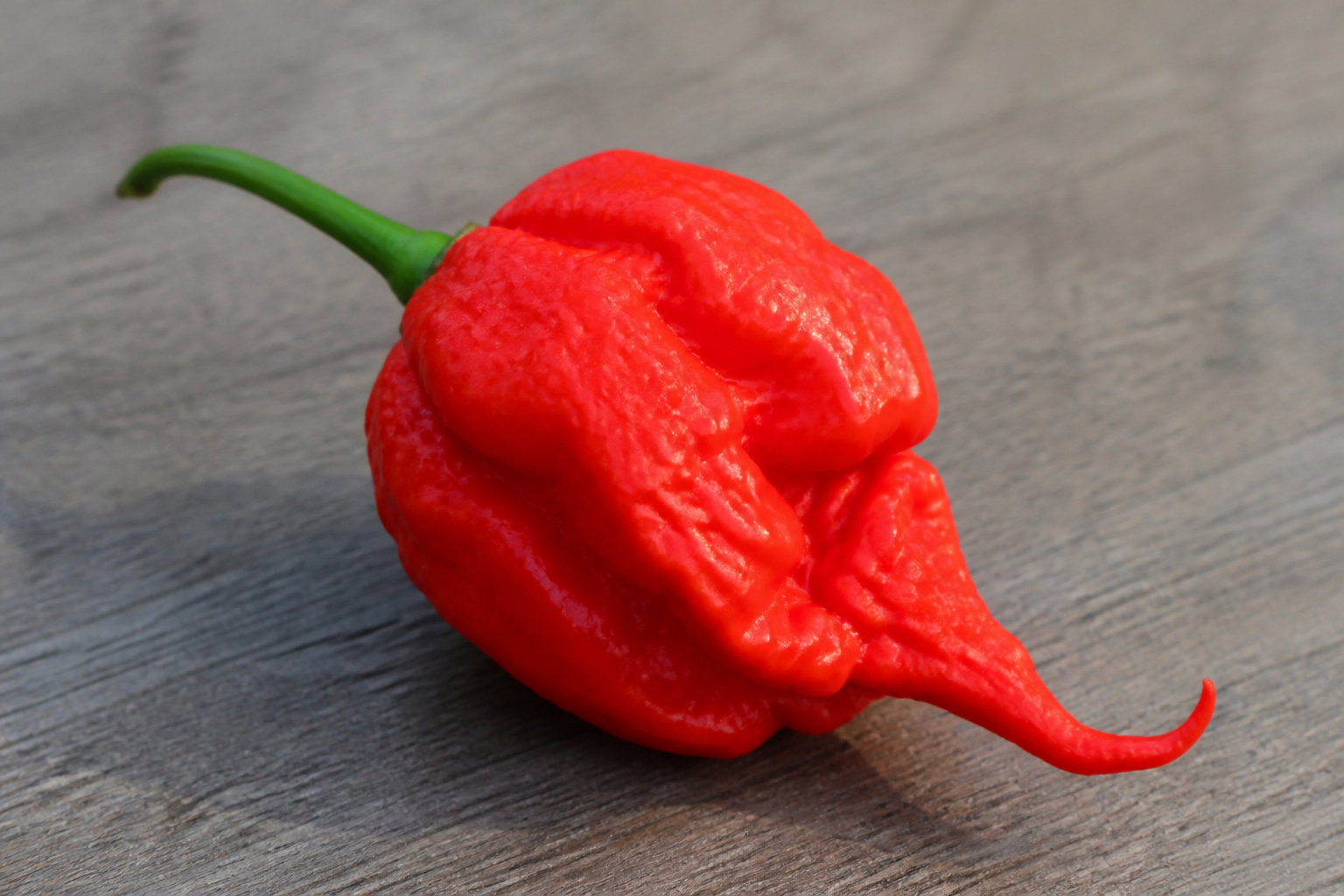 Sélectionner vos piments via l'échelle de Scoville