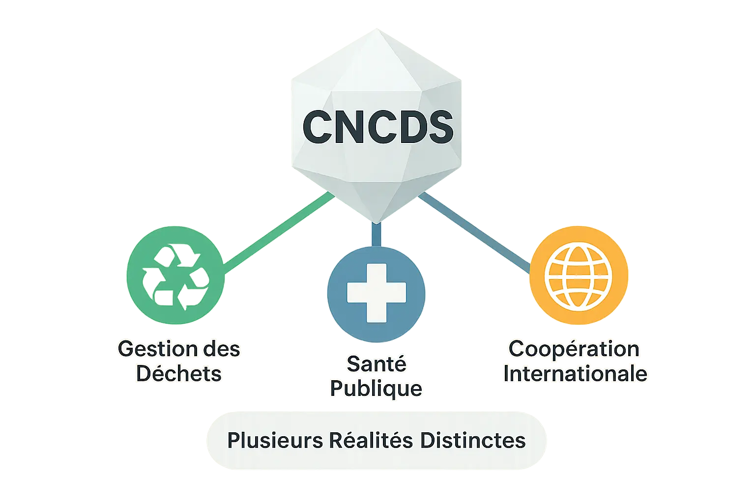 Infographie illustrant les significations de CNCDS