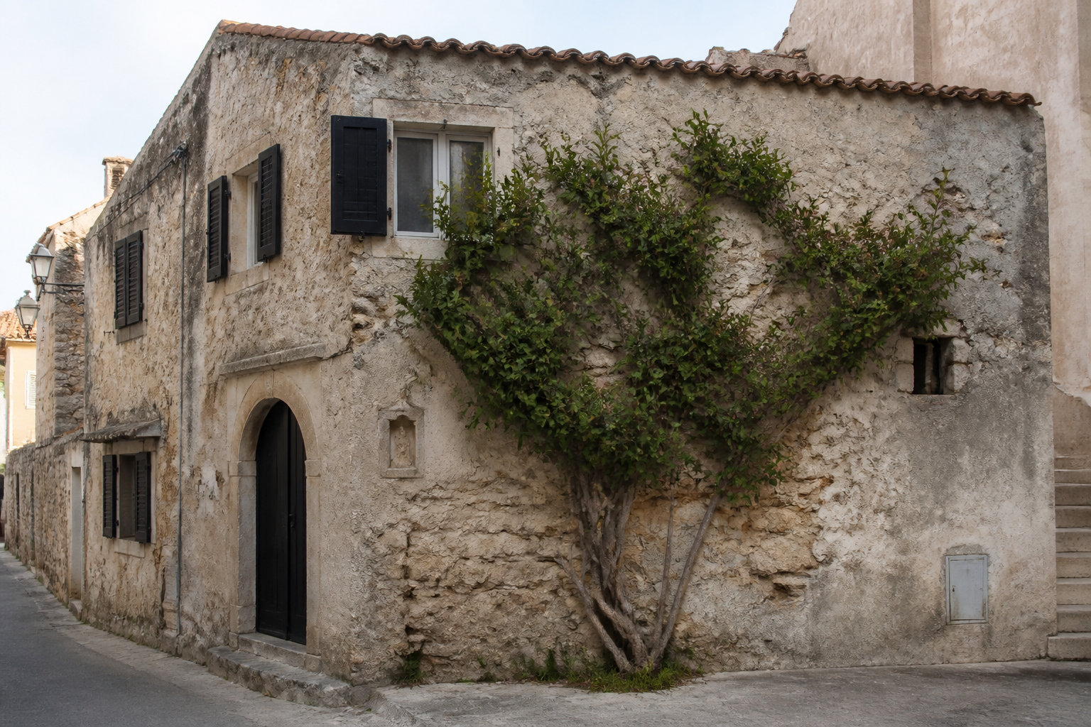 Localisation des meilleurs sites d'observation en Corse