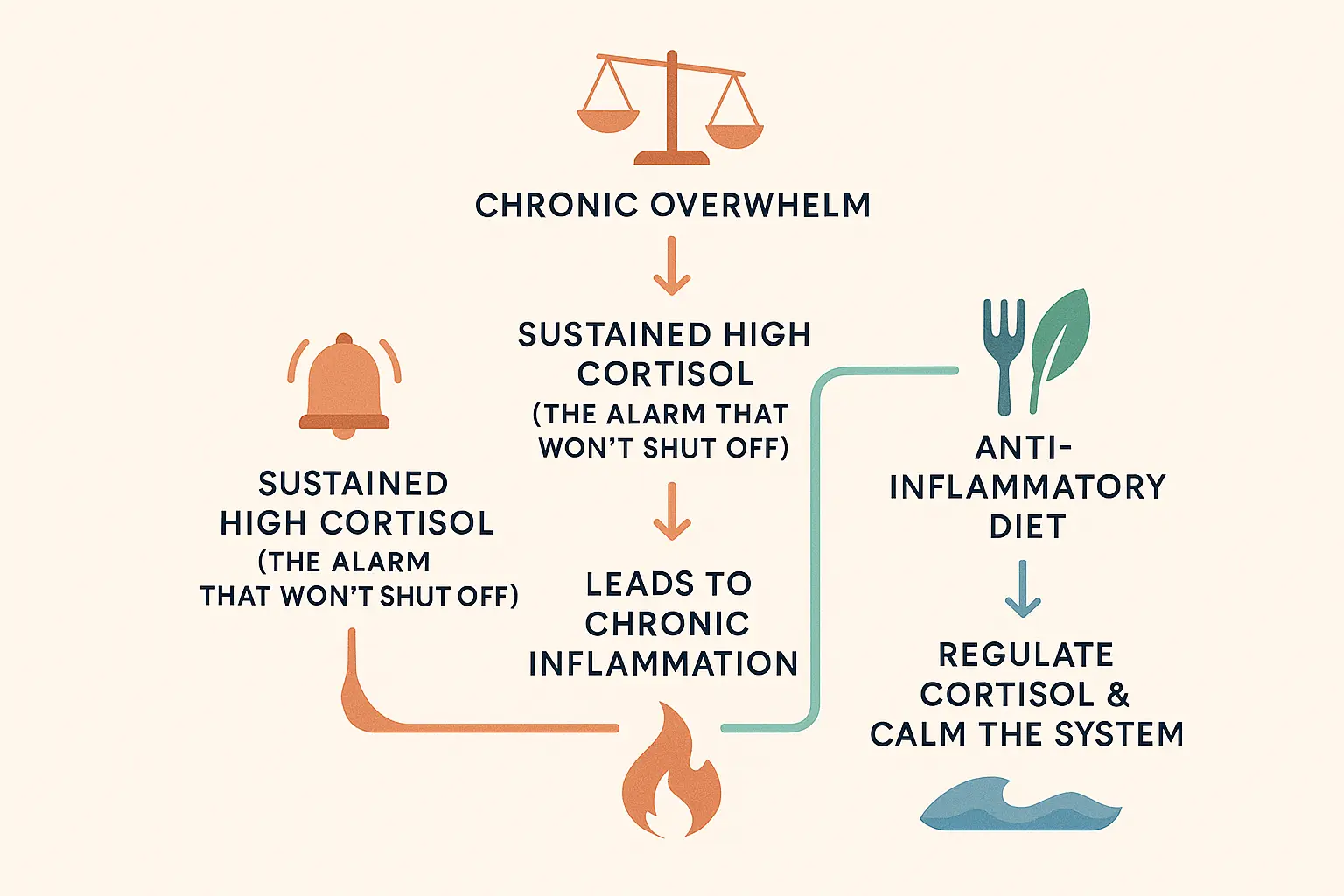 Flowchart showing how diet affects cortisol levels and inflammation