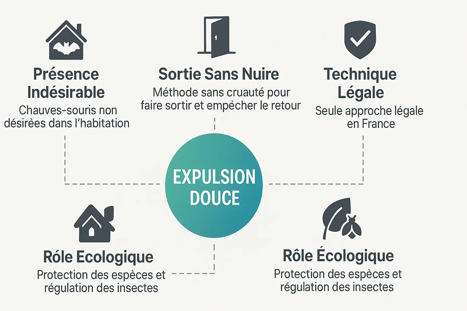 Infographie sur les piliers de l'expulsion douce des chauves-souris