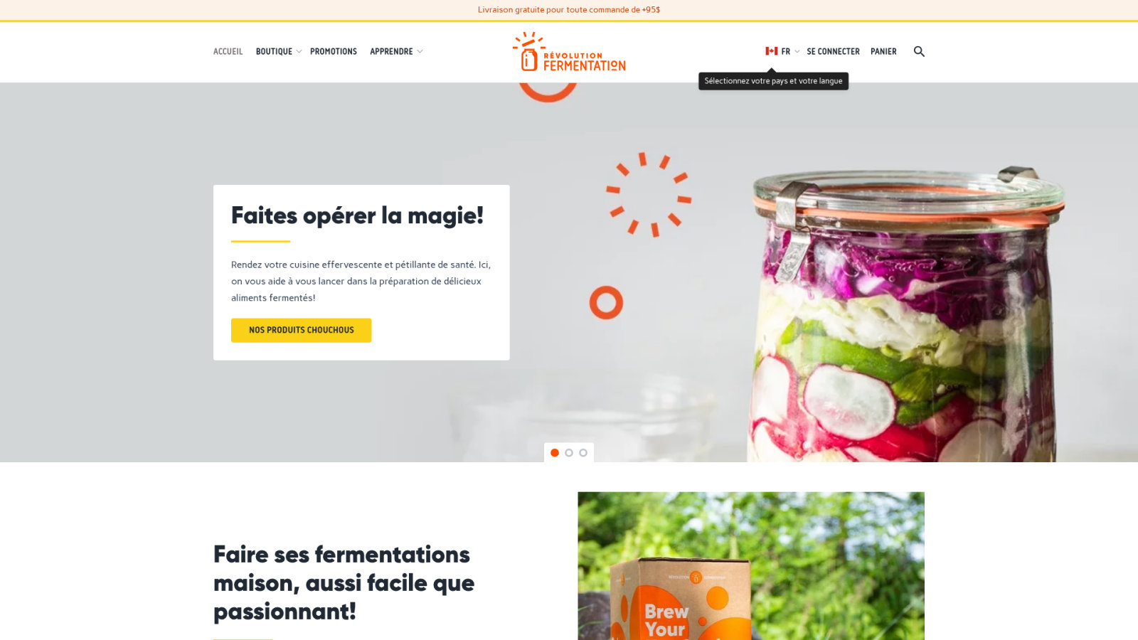 Pourquoi votre kombucha ne pétille pas : comprendre la carbonatation naturelle