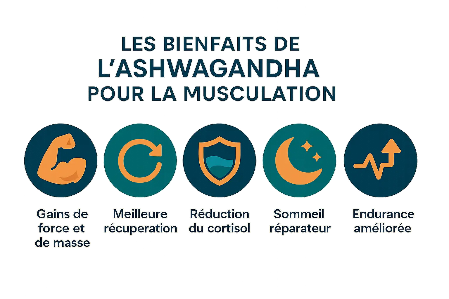 Ashwagandha et musculation