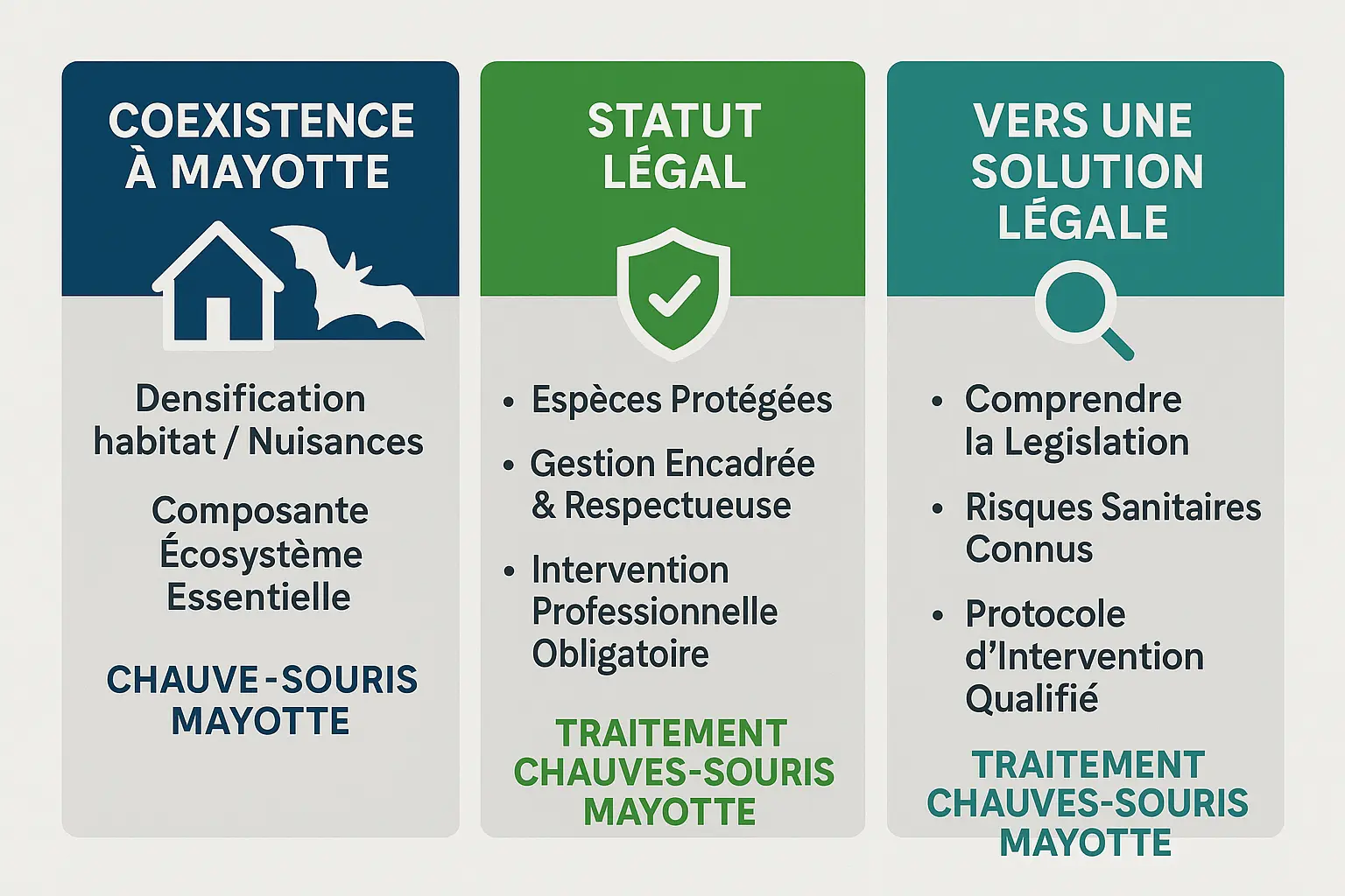 Illustration de la cohabitation avec les chauves-souris à Mayotte
