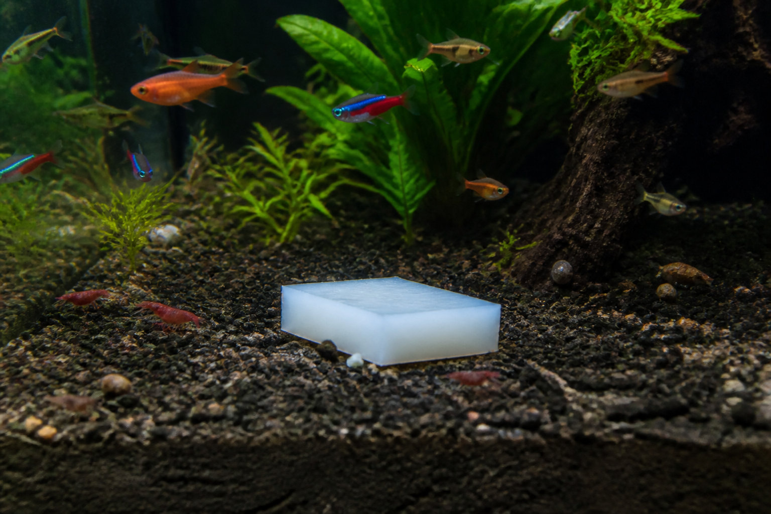 Utiliser des blocs de gel ou solliciter une main secourable