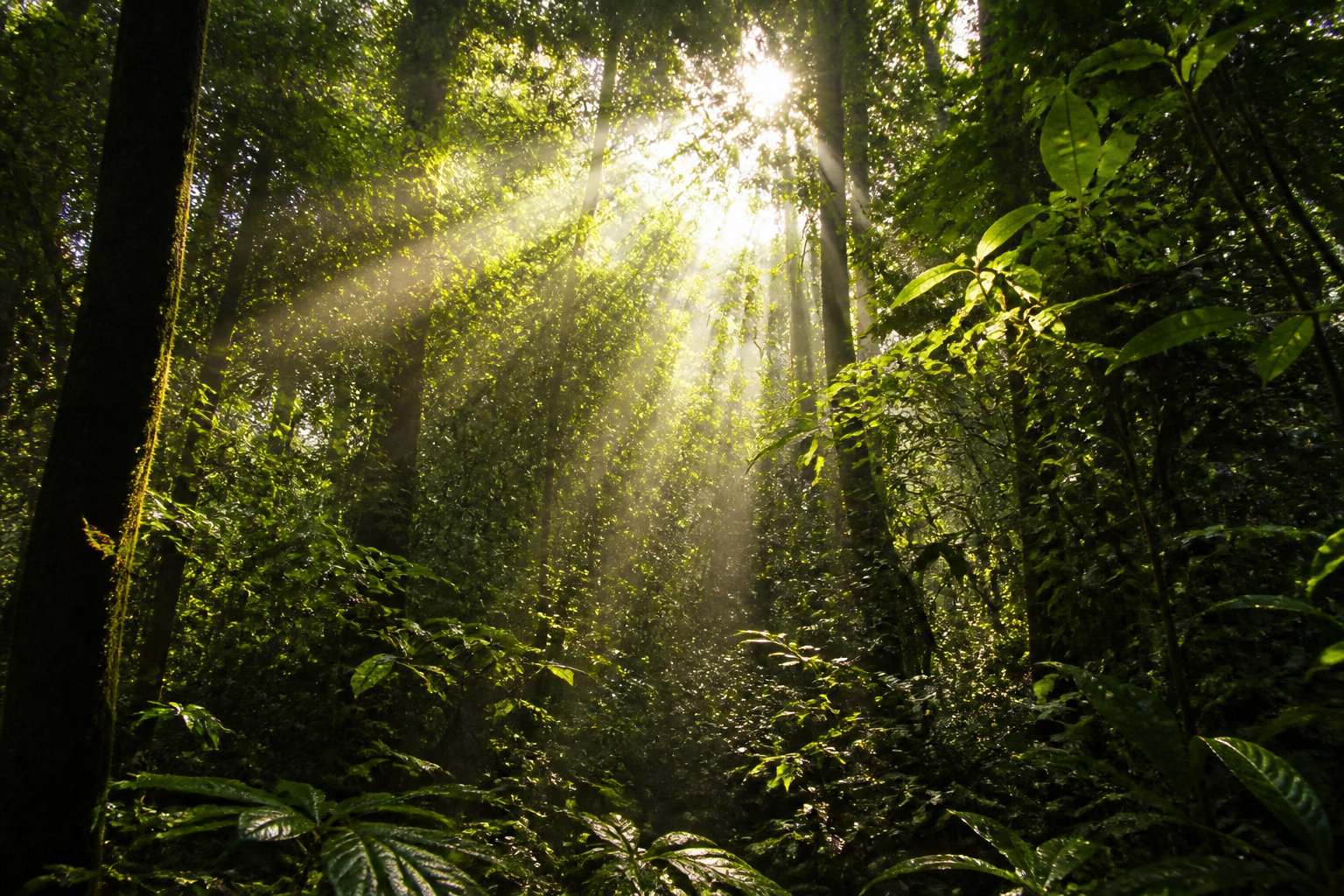L'appel de la nature : des prénoms sauvages et authentiques