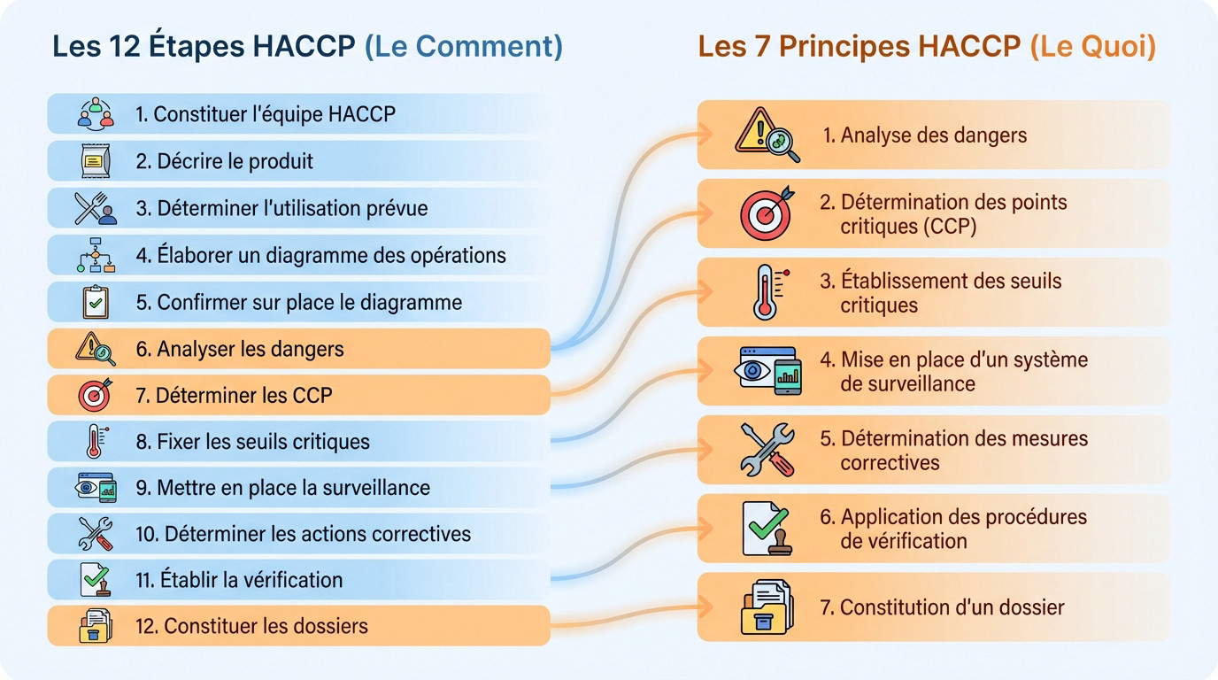 Infographie d&eacute;taillant la correspondance entre les 12 &eacute;tapes de mise en place et les 7 principes de la m&eacute;thode HACCP