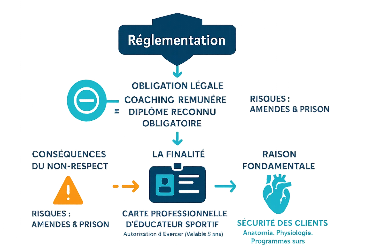 Infographie sur les certifications de coach sportif en France