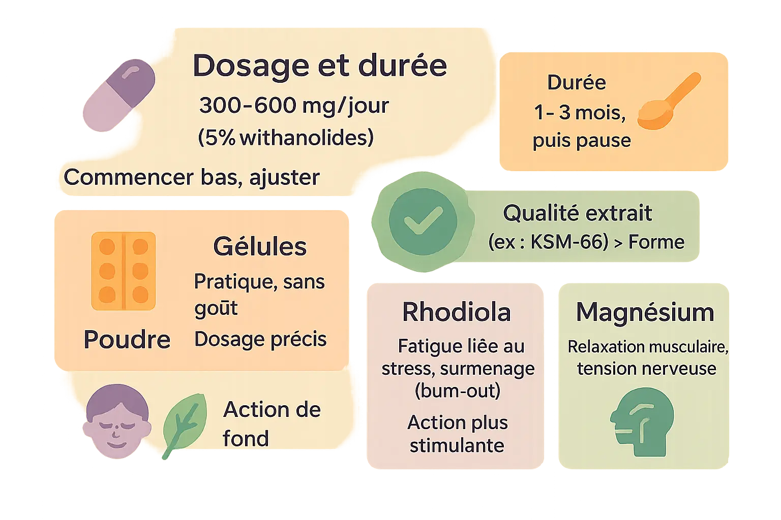 Guide pratique sur l'utilisation de l'ashwagandha contre le stress