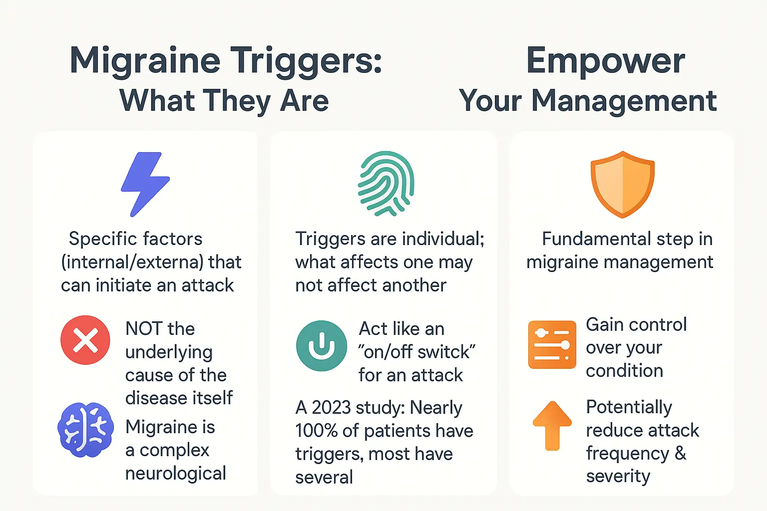 Migraine triggers infographic