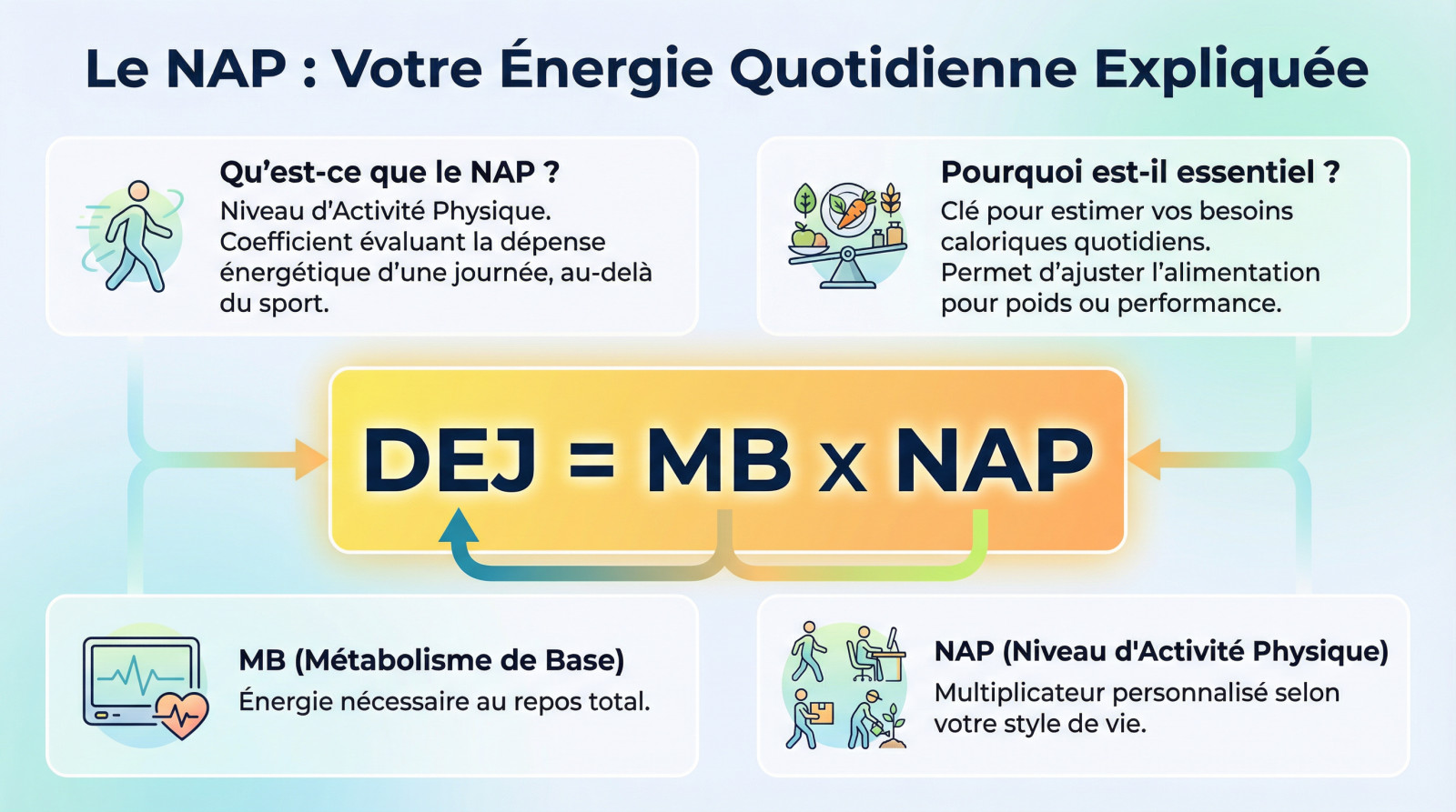 Schéma illustrant le calcul du Niveau d'Activité Physique pour estimer la dépense énergétique