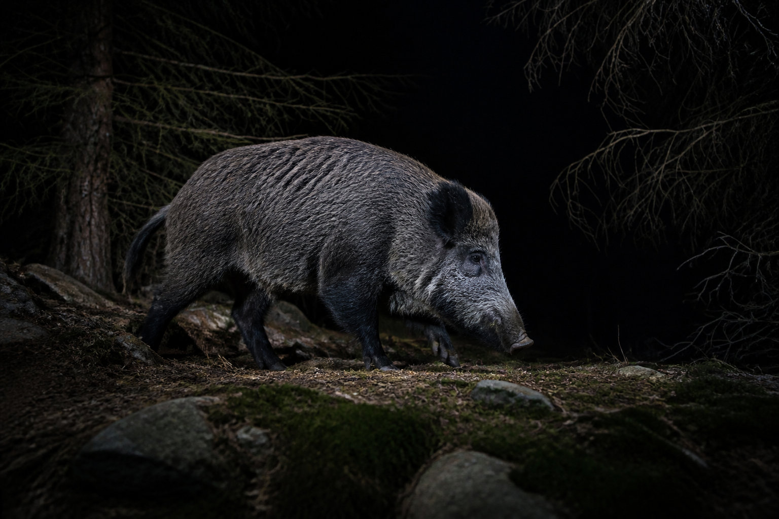 6 erreurs fatales à bannir lors d'une rencontre impromptue
