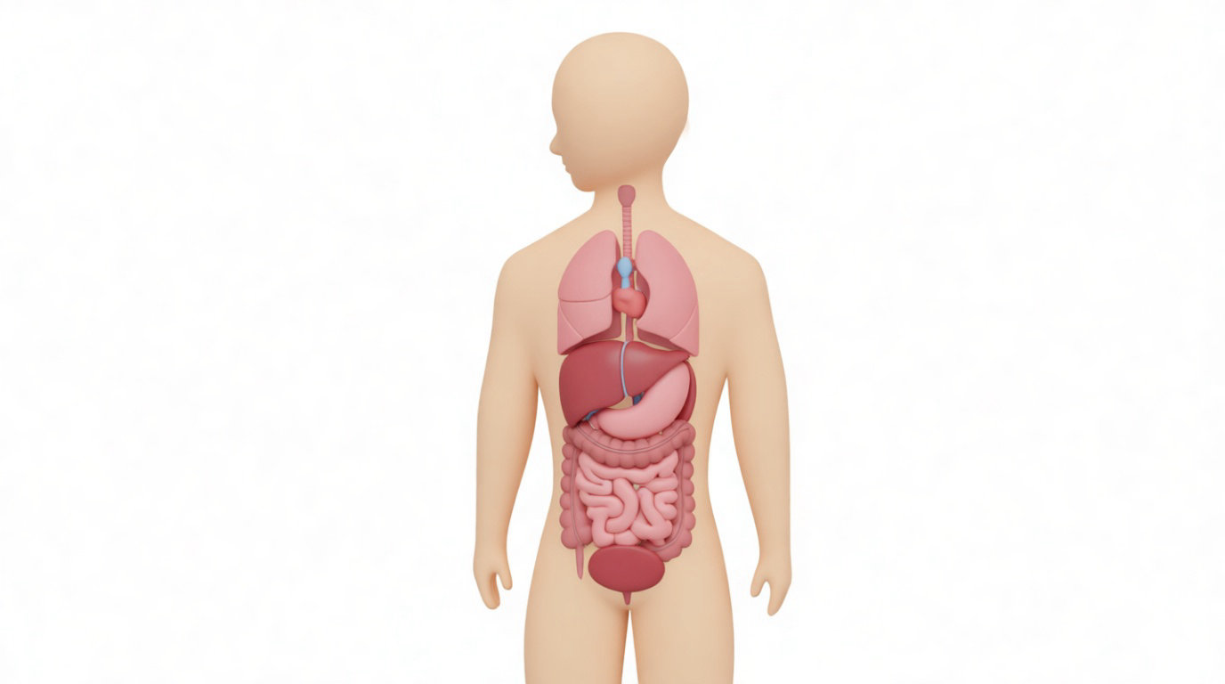 Quels bénéfices attendre de l'eau structurée ?