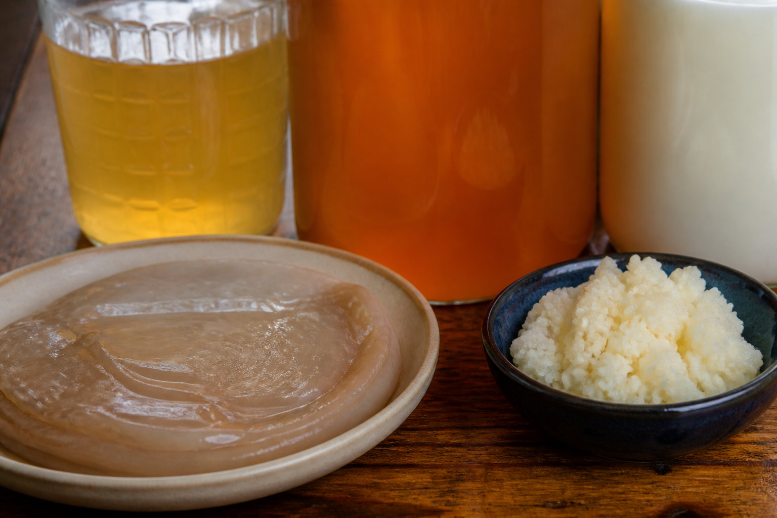 Identification des bases du kombucha ou kéfir