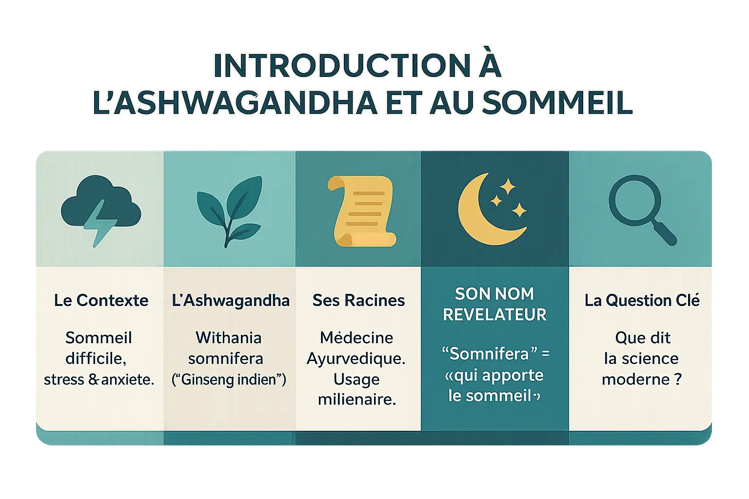 Ashwagandha et sommeil