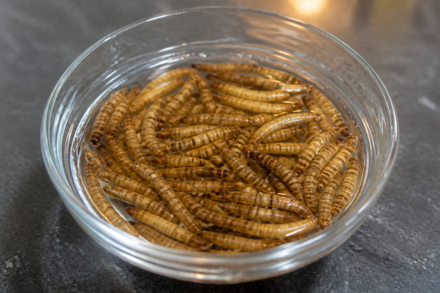 Faut-il réhydrater les insectes avant de les servir ?