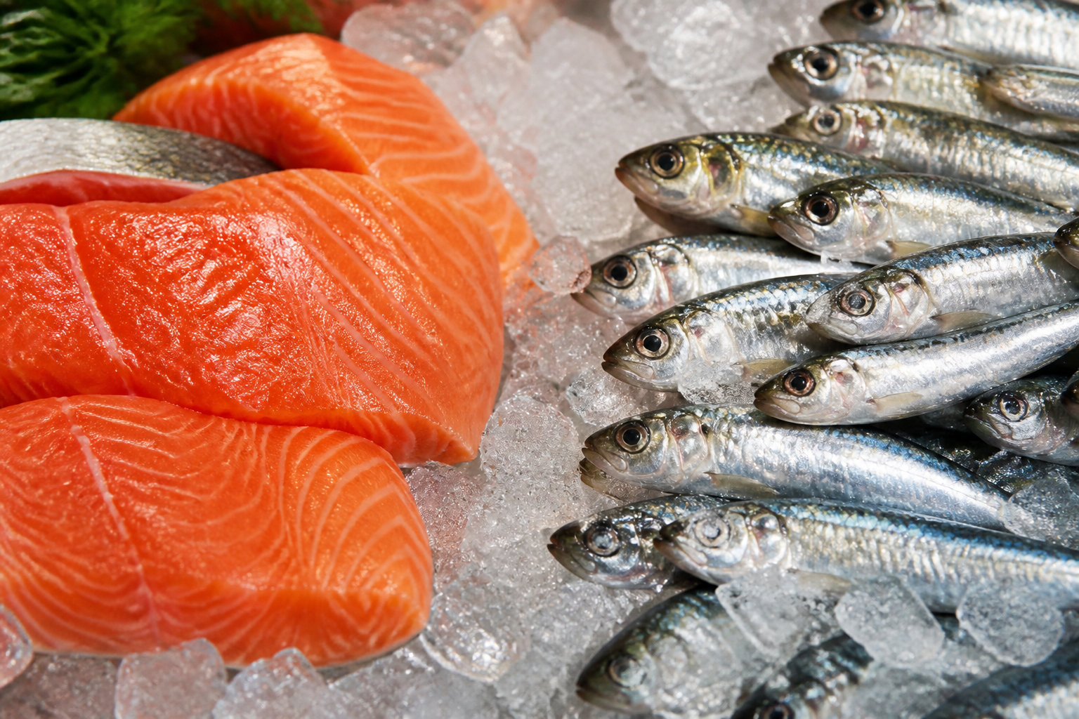 Les poissons gras pour hydrater vos yeux en profondeur
