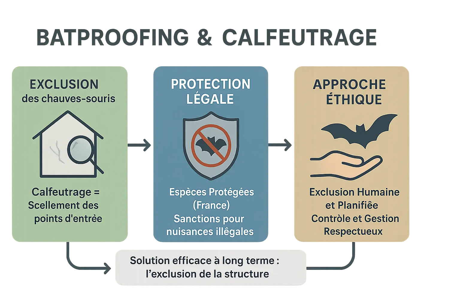 Illustration des méthodes d'exclusion légale et éthique des chauves-souris