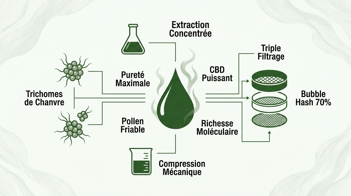 Infographie sur la fabrication de la résine CBD à partir des trichomes de chanvre