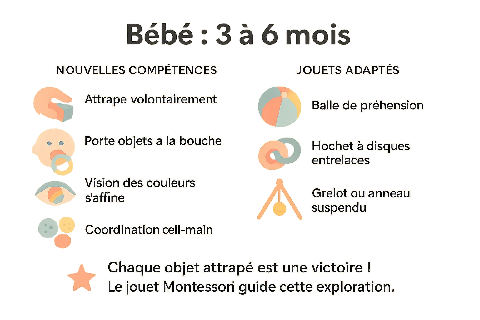 Illustration du développement de bébé entre 3 et 6 mois