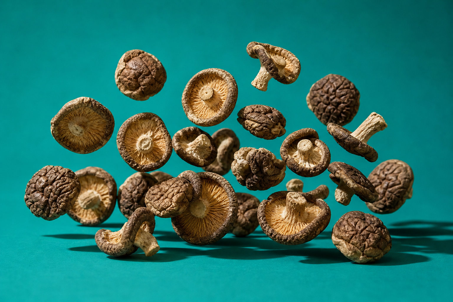 Champignons morceaux bio : transformez vos plats en véritables festins