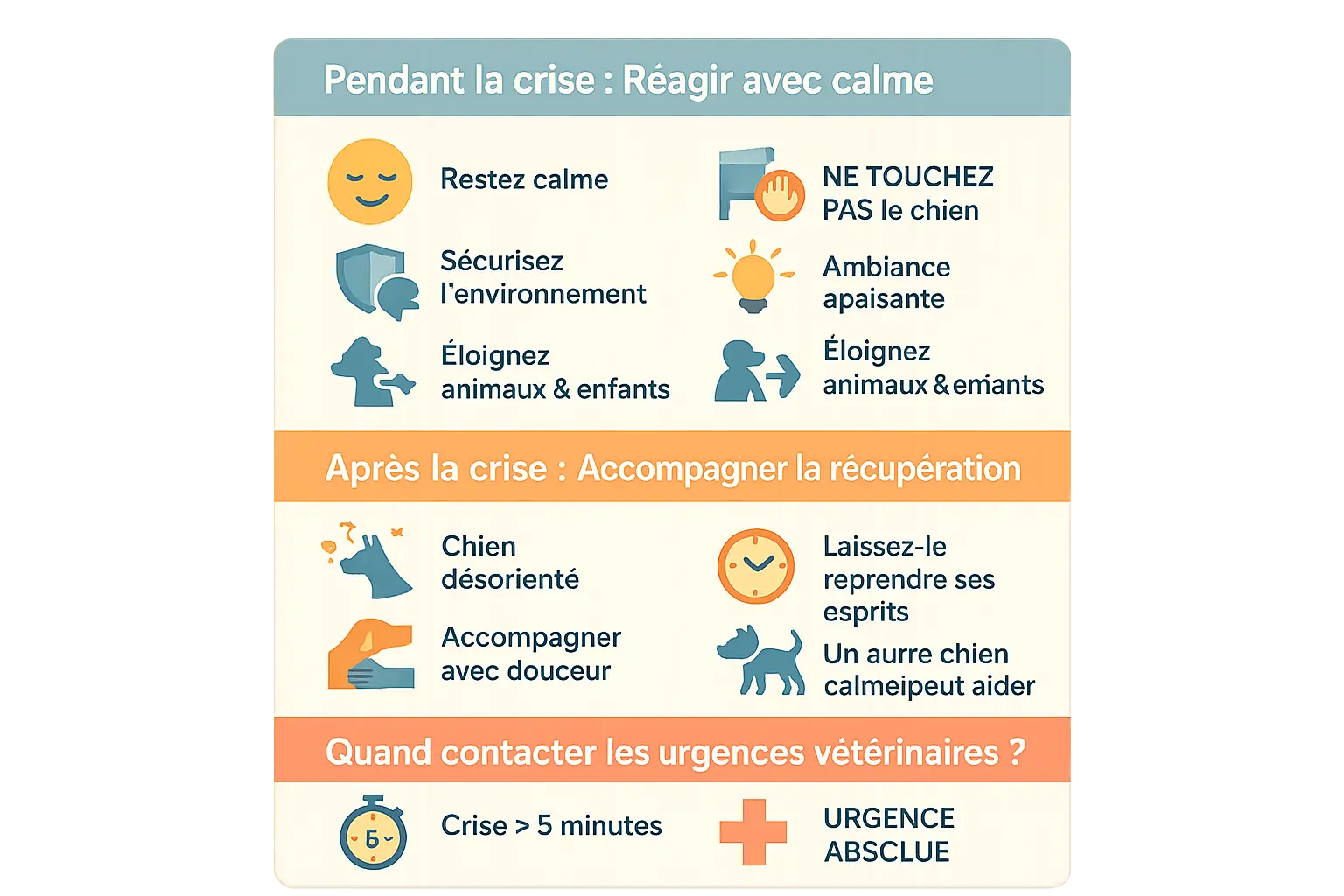 Crise d'épilepsie chez le chien : comment réagir