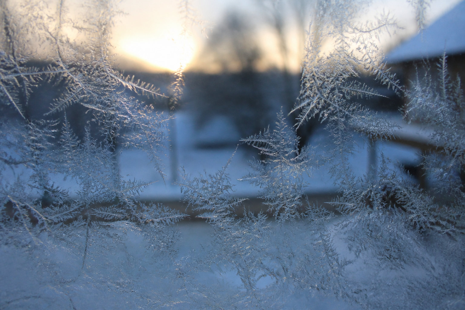 Seasonal Immune Support and Biological Transitions