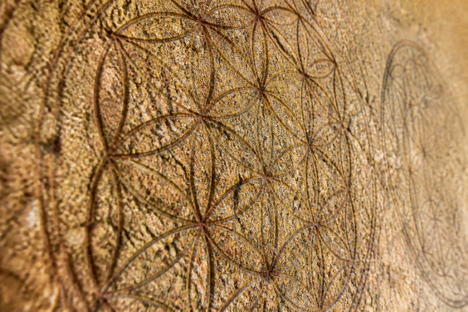 Héritage historique : des sables d'Égypte aux carnets de Vinci