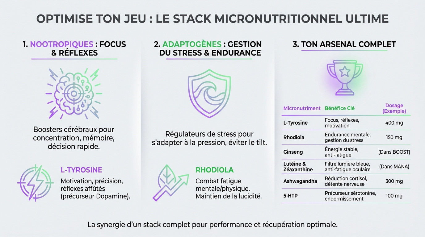 Schéma des micronutriments essentiels pour la performance esport : L-Tyrosine, Rhodiola et Nootropiques