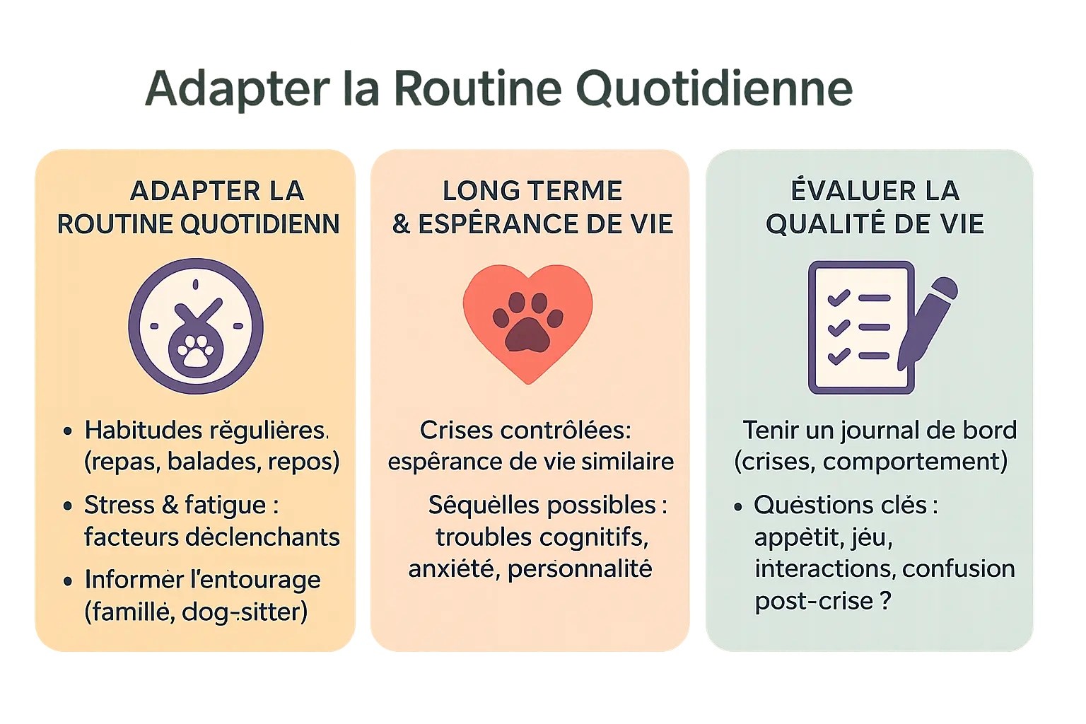 Chien épileptique en routine quotidienne