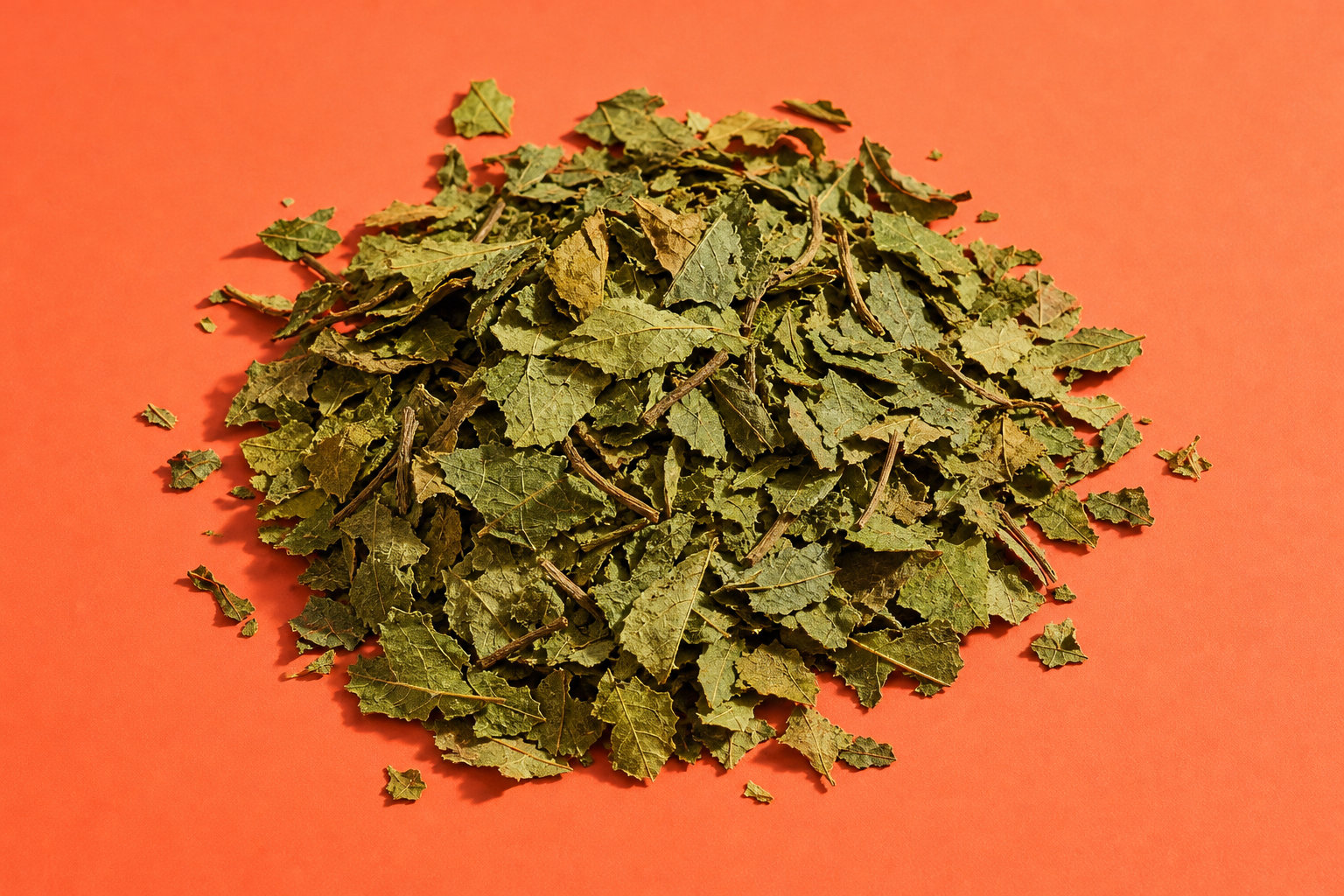 Bouleau feuilles bio pour un drainage naturel et efficace