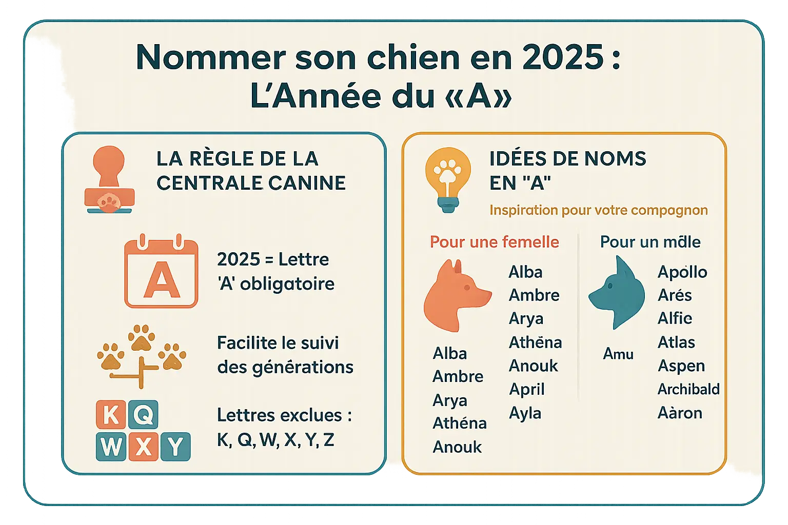 Illustration d'un chiot avec un <strong>badge en forme de A</strong>