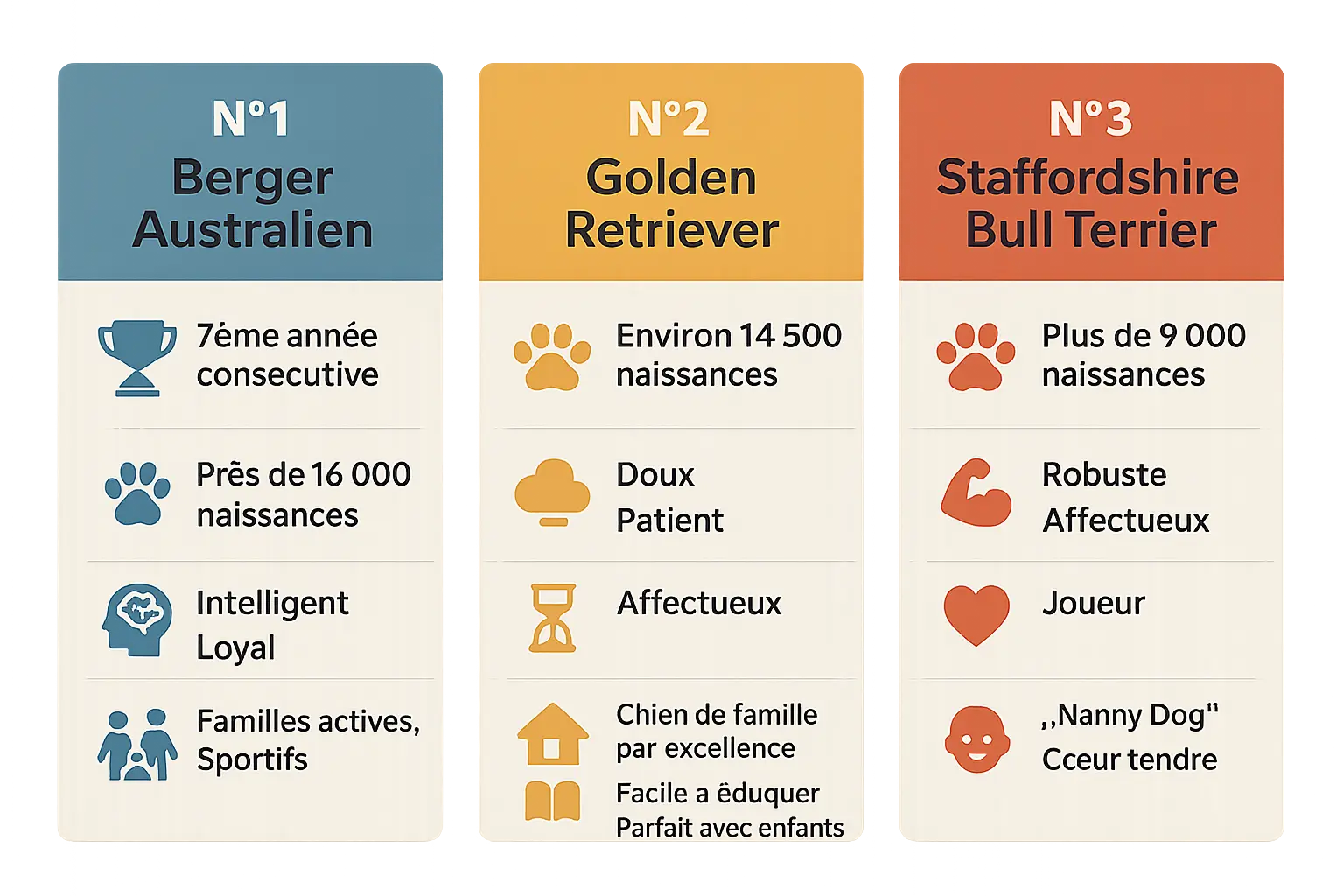 Top 3 des races de chiens préférées en France 2025