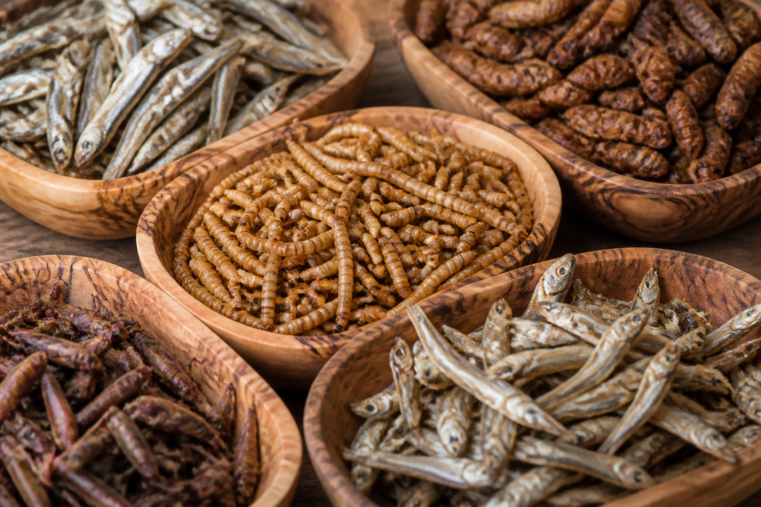 3 groupes d'aliments pour un équilibre parfait au quotidien