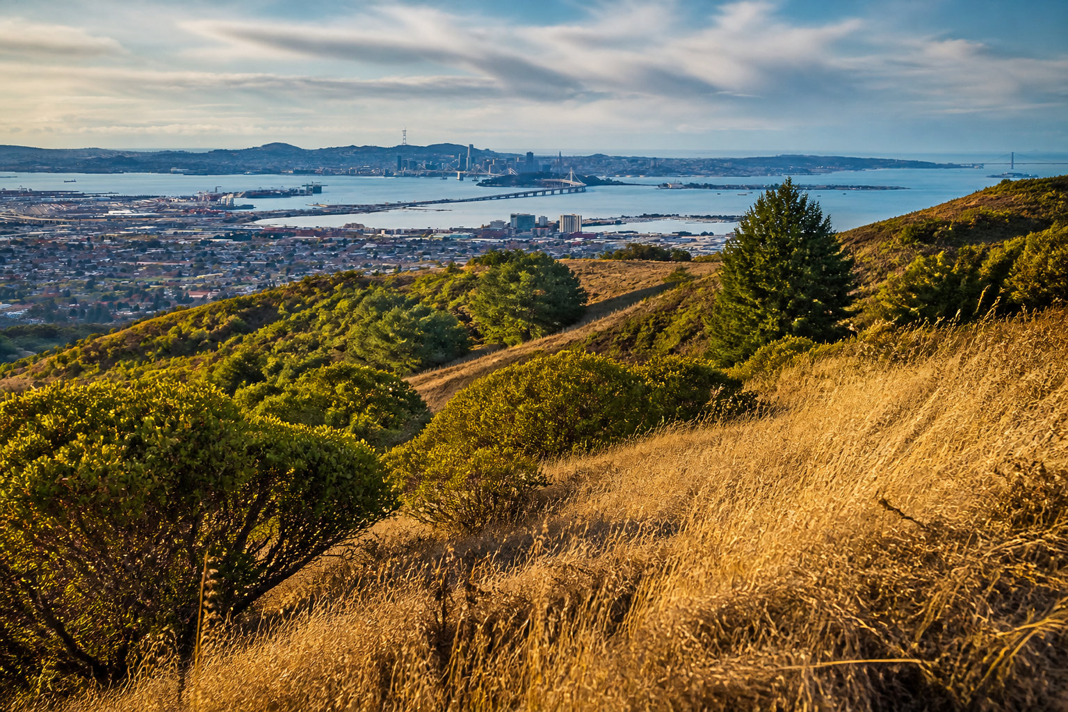 Why Buying a Luxury Home in the East Bay Remains a Top-Tier Move