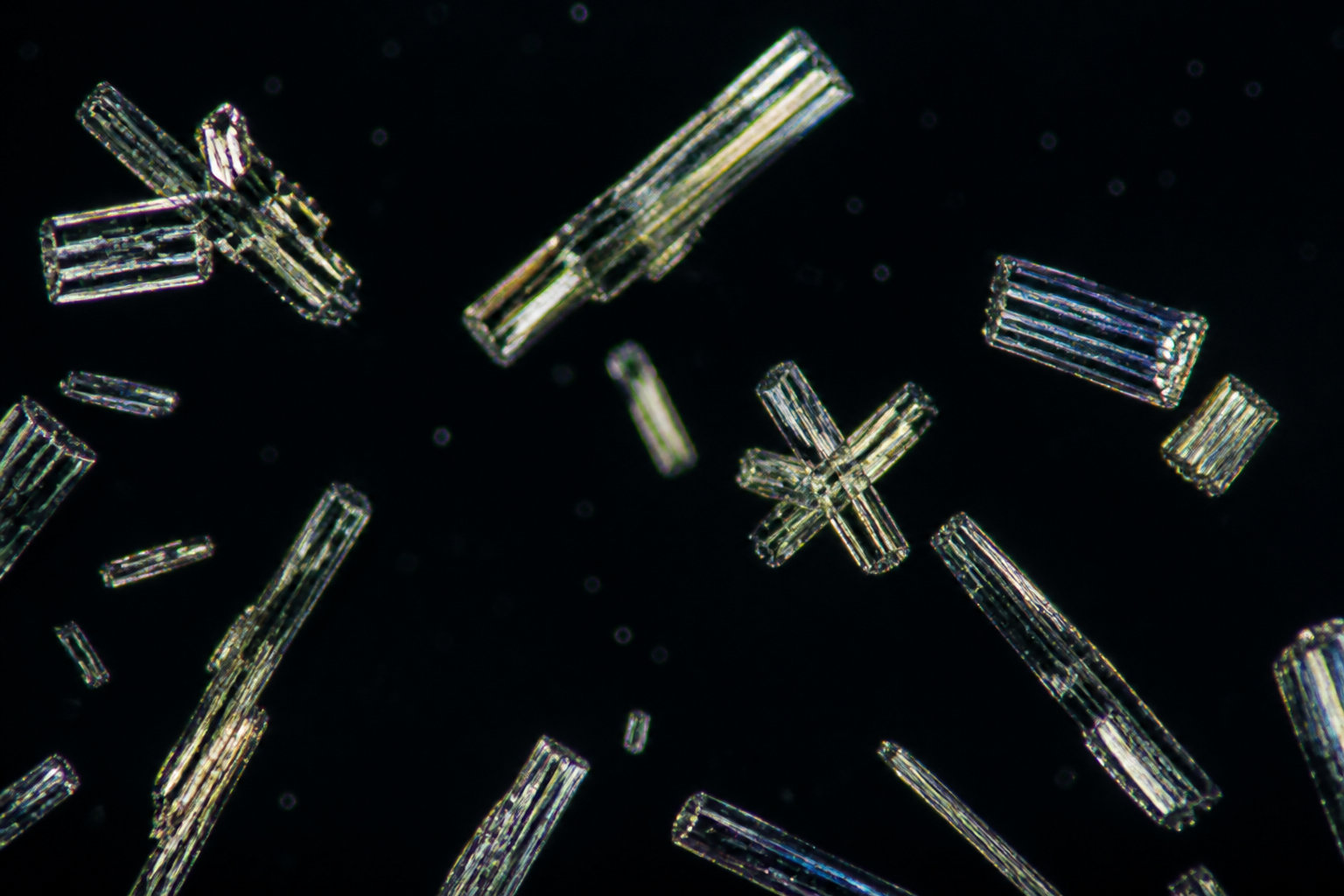 Les mécanismes biologiques qui lient l'immobilité à la maladie