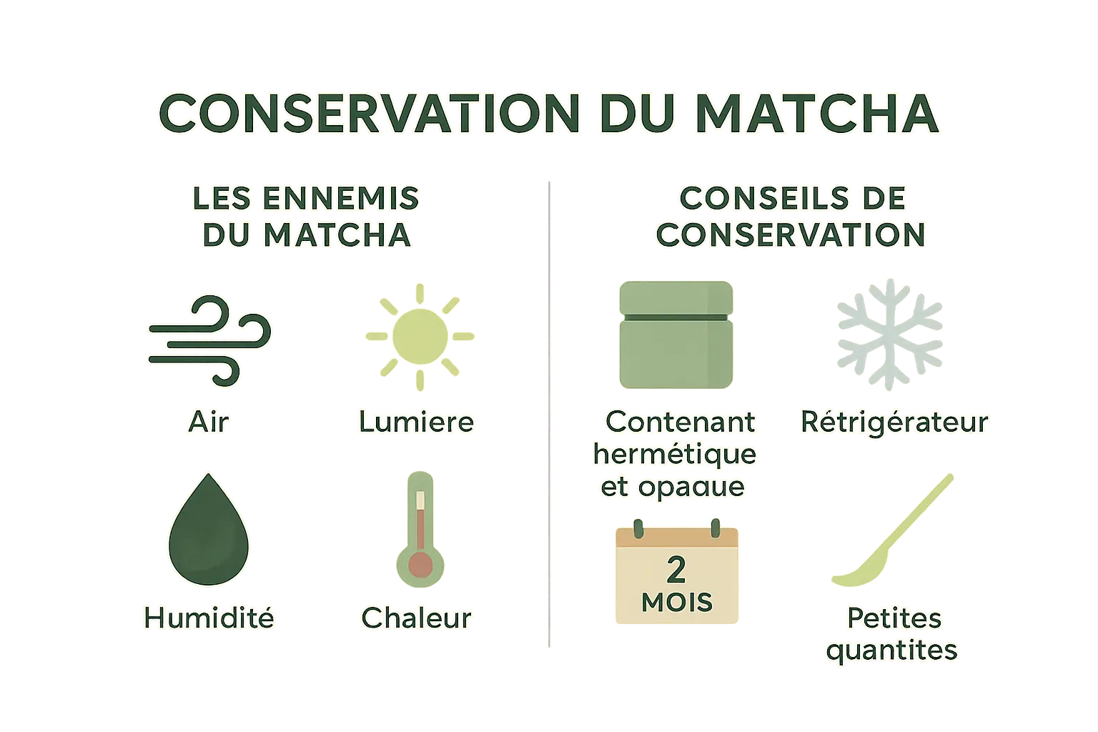 Illustration de la conservation du matcha