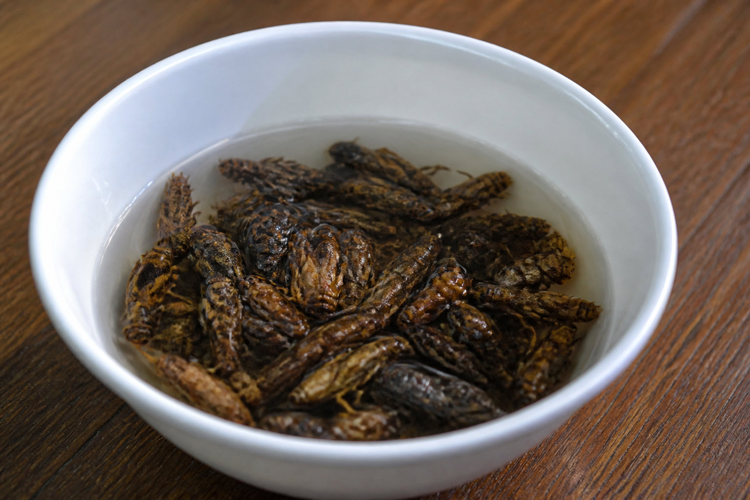 Réhydrate et sers tes insectes pour une digestion sereine