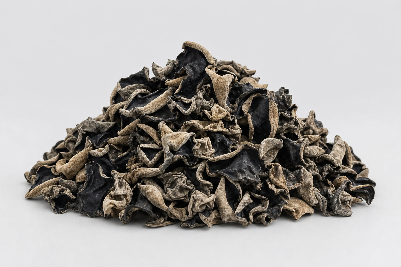 Champignon noir entier bio : l'authenticité au service de votre créativité
